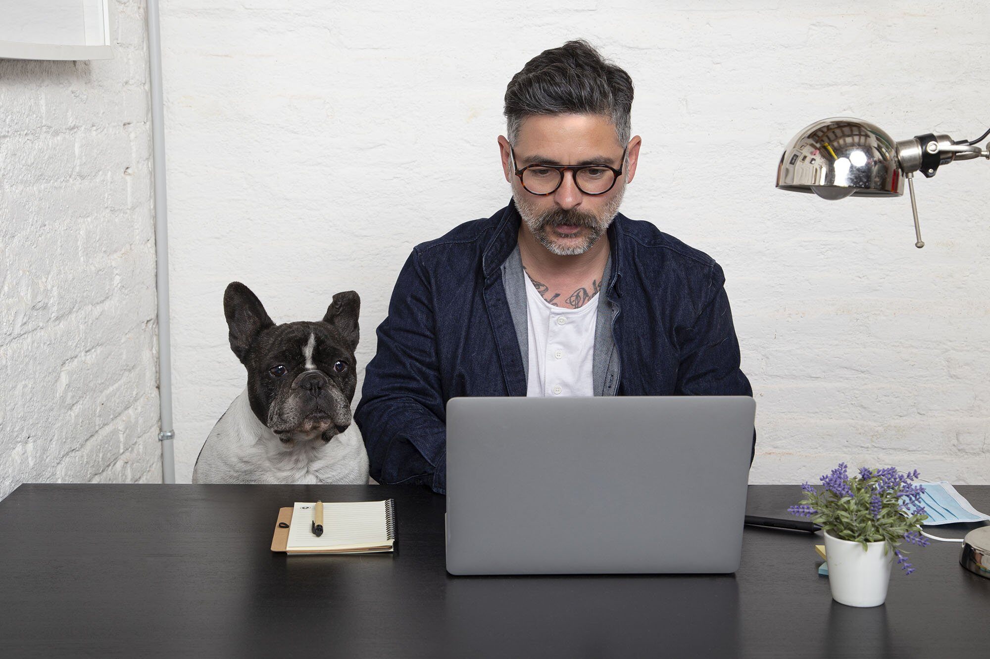 Guy dog